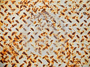 Grated Metal Surface White and Rusty Orange Texture