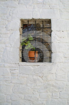 Grated window with flower