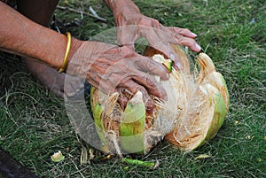 The grater and coconut