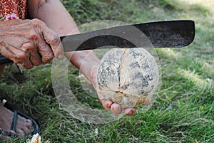The grater and coconut