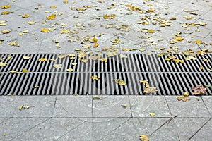 Grating of the drainage storm system on the pedestrian sidewalk.