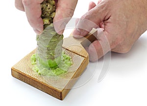 Grating fresh wasabi photo