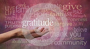 Gratitude Attitude