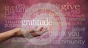 Gratitude Attitude photo