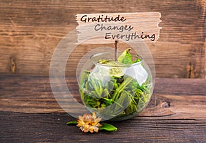 Gratitude changes everything photo