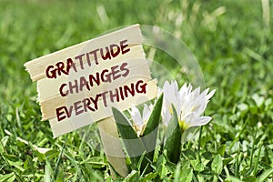 Gratitude changes everything