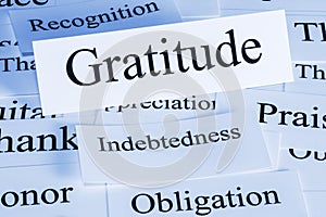Gratitude Concept in Words