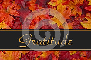 Gratitude Message