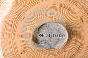 Gratitude in stone on tree photo