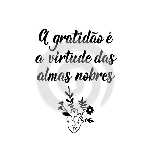 Gratitude is the virtue of noble souls in Portuguese. Lettering. Ink illustration. Modern brush calligraphy