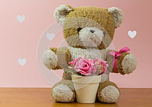 Gratulations teddy bear photo