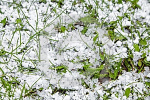 Graupel or snow pellets on grass. Form of precipitation falls. Soft hail small white balls on lawn