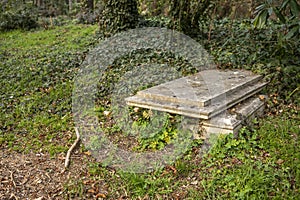 A grave in a forest with the lid open