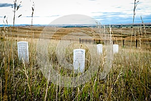 Grave Markers from Little Big Horn National Monument