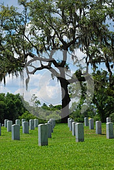 Grave Sites at Florida National Cemetery photo