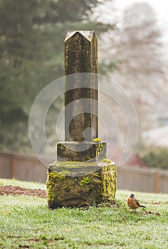 Grave Stone at Cemetery