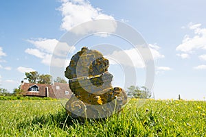 Grave yard at Dutch Terschelling photo