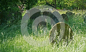 Grave yard with grass left to grow long to help insect wildlife. Grave stones long grass and trees.