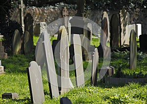 Grave yard head stones