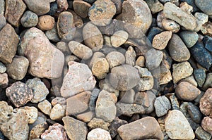 Gravel background. Closeup pebbels.