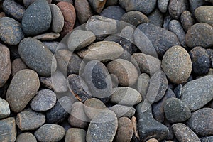 Gravel background in zen garden