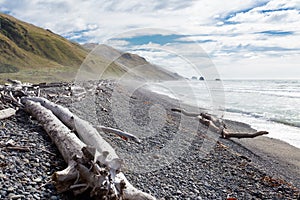 Gravel beach and driftwood in Gore Bay, NZ