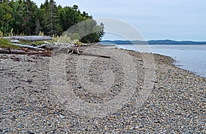 Gravel beach of Sears Island in Maine