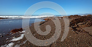 Gravel beach with seaweed and kelp washed ashore on Moonstone Beach in Cambria on the central coast of California Unted States photo