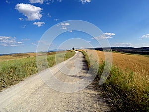 Gravel bike around siena