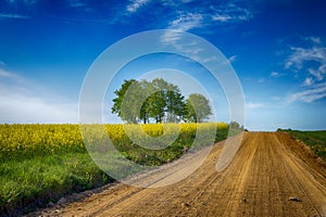 Gravel country road through farm fields