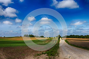 Gravel country road through farm fields