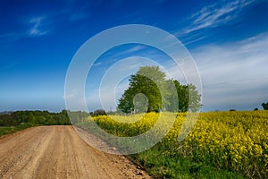 Gravel country road through farm fields