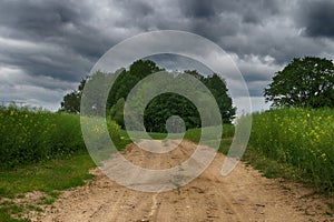 Gravel country road through farm fields