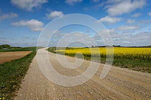 Gravel country road through farm fields