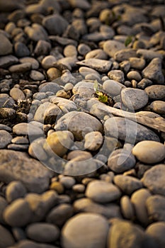 Gravel floor close up