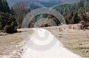 Gravel footpath in juniper heathland in swabian alb