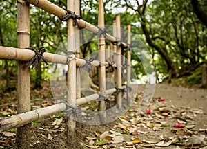 Gravel footpath in the Ritsurin Koen-Chestnut Grove Garden between bamboo fences
