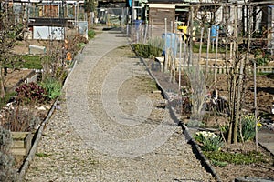 A gravel path in allotment garden colony in spring in village Urdorf in Switzerland