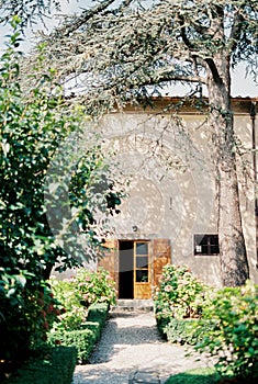 Gravel path in a green garden leading to an old villa. Florence, Italy