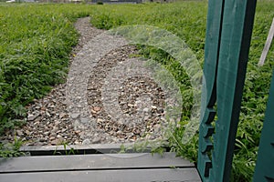 Gravel path among green grass