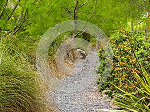 Gravel path leading through garden and trees