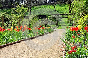 Gravel path leading through a large garden