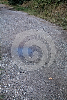 Gravel path with puddles next to a grove at sunset