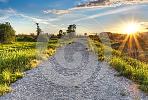 Gravel Path with Setting Sun Star