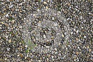 Gravel path with some grass