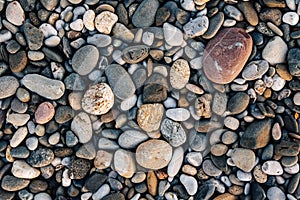 Gravel pattern of wet colored stones. Abstract nature pebbles background. Stone background. Sea peblles beach. Top view