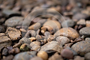 Gravel or pebble on the ground