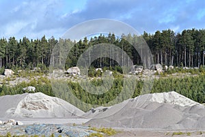 Gravel pit or gravel quarry, reforested part of land full of young and small spruce trees and a forest in the background. Large