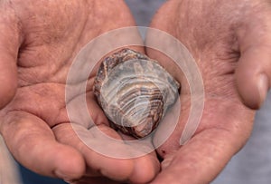 Gravel Pits are a great Place to find Lake Superior Agates