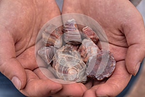 Gravel Pits are a great Place to find Lake Superior Agates photo